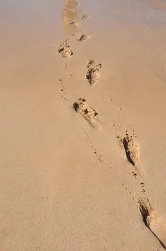 Footsteps in the sand on a beach Stock Photos