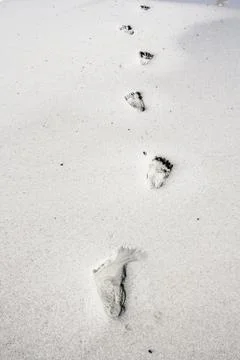 Footsteps in the sand Stock-Fotos