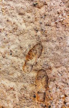 Footsteps in Sand Stock Photos