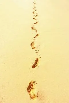 Footsteps in sand Foto stock