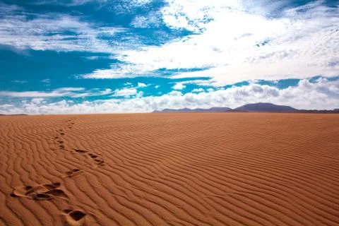 Footsteps on sand Stock Photos