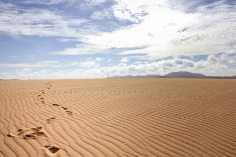 Footsteps on sand Stock Photos