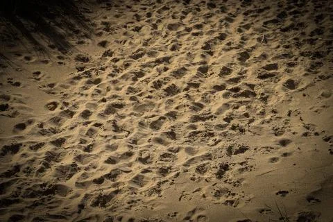 Footsteps in the sand Photos