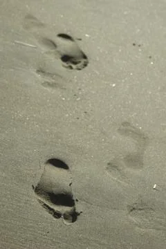 Footsteps in the sand Stock Photos