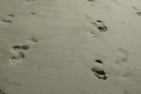 Footsteps in the sand Stock Photos