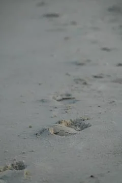 Footsteps in the sand Stock Photos