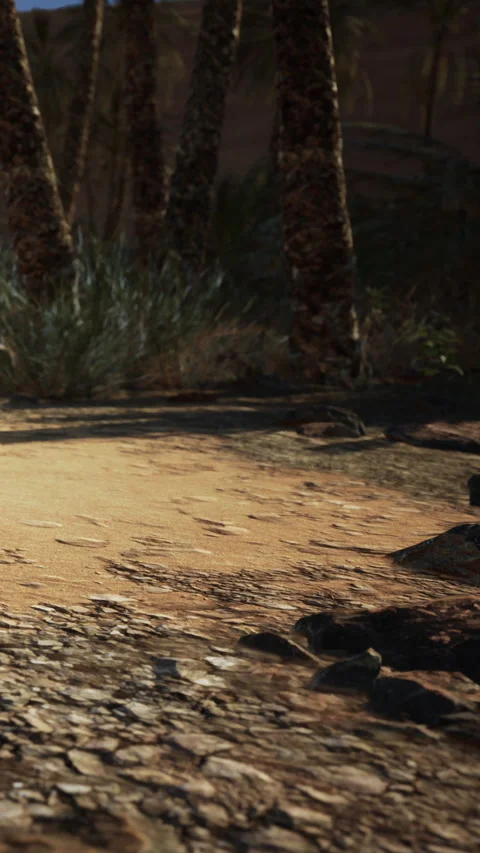Footsteps in the sand show signs of activity in a desert landscape Stock Footage 340872346