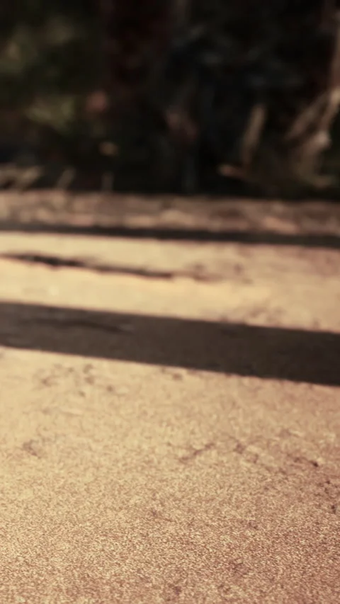 Footsteps on sandy path during warm afternoon in natural setting Stock Footage 342349788
