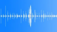 Footsteps in shallow mud in forest loop Sound Effect