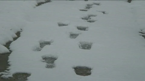 Footsteps snow Stock Footage 351219
