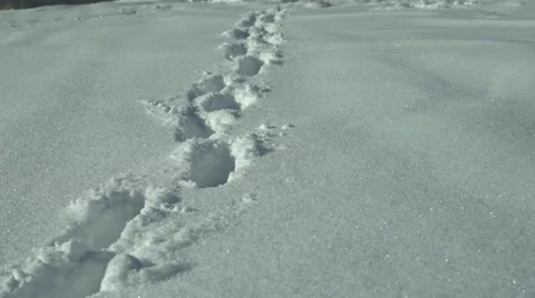 Footsteps in the Snow Mountain Church Panning 4K Stock Footage 59771687