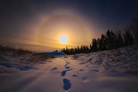 Footsteps in Snow Photos