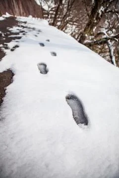 Footsteps on the snow. Stock Photos