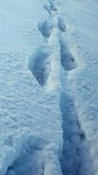 Footsteps in a snow Stock Photos