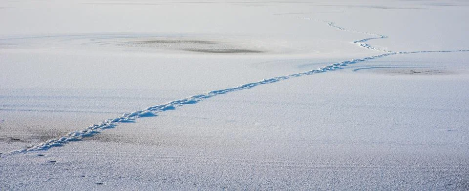 Footsteps on the snow Stock Photos