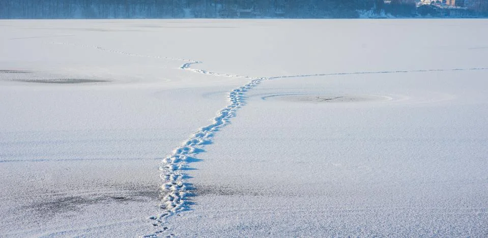 Footsteps on the snow Stock Photos