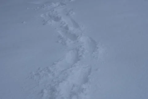 Footsteps In Snow Stock Photos