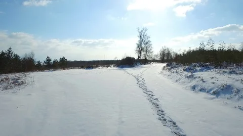 Footsteps in snow woods tracking Stock Footage 95073724