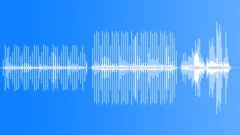 FOOTSTEPSSound Effect