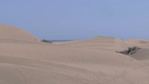 Footsteps through Dunes Video stock 74334912