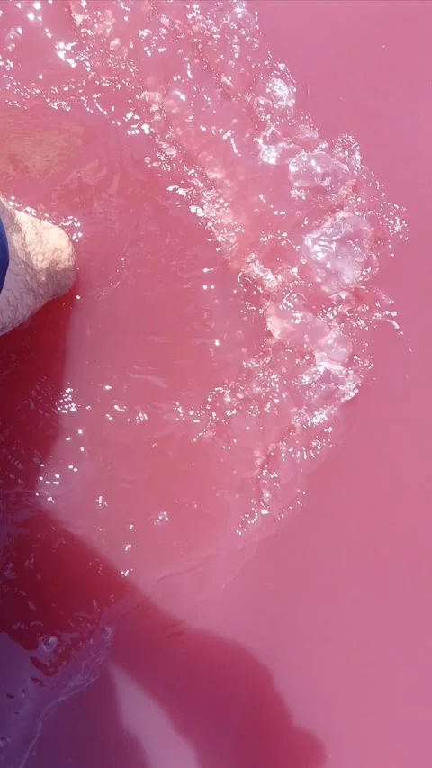 Footsteps Through the Red Lake Video stock 314579556