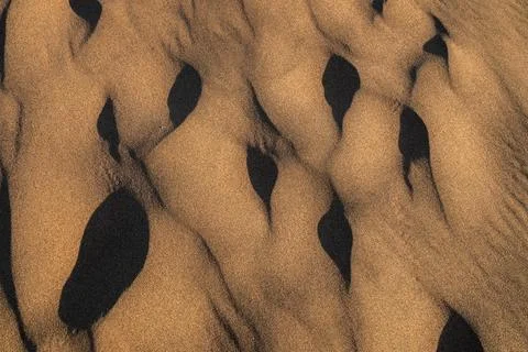 Footsteps Turn to Dimples in the Dunefield Stock Photos