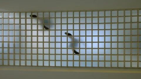 Footsteps of two people seen from below on glass corridor Stock Footage 130150334