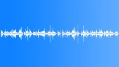 Footsteps Walking on Debris loopSound Effect