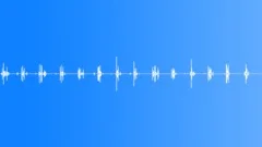 Footsteps walking water 01 loop Sound Effect