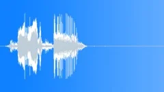 Footsteps Water Single Step Sound Effect
