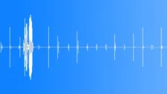 Footsteps Wood Surface Walk Sound Effect