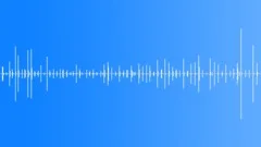 Footsteps on the Wooden Floor 01 Sound Effect