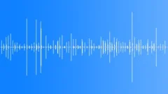 Footsteps on the Wooden Floor 02 Sound Effect