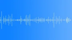 Footsteps on the Wooden Floor 03 Sound Effect