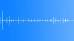 Footsteps on the Wooden Floor 04 Sound Effect
