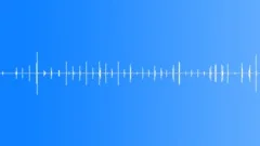Footsteps on the Wooden Floor 05 Sound Effect