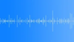 Footsteps on the Wooden Floor 06 Sound Effect