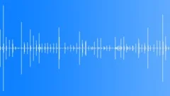 Footsteps on the Wooden Floor 07Sound Effect