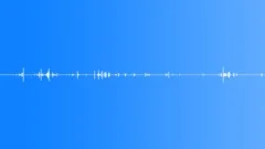 Footsteps,Forest,Wood Sandals,JoltySound Effect