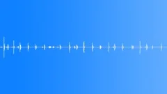 FOOTSTEPS,INDOOR Sound Effect