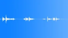 FOOTSTEPS,SAND,WETSound Effect