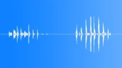 FOOTSTEPS,WOODSound Effect