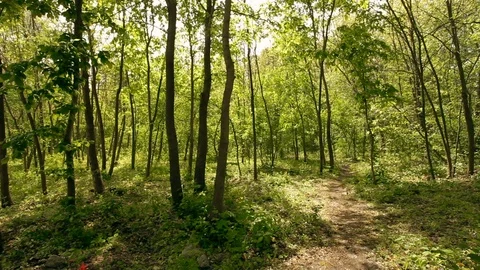 Footway Video stock 78002293