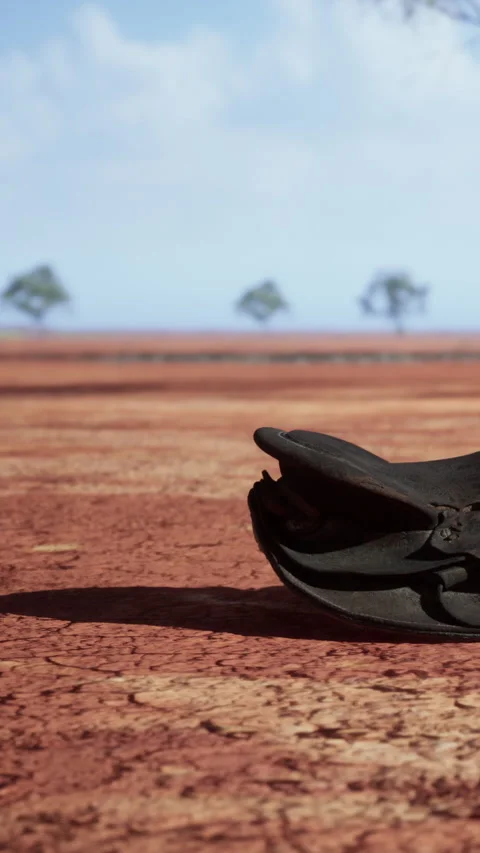 Footwear on dry ground with distant trees under a clear sky in the daytime Stock Footage 338419356
