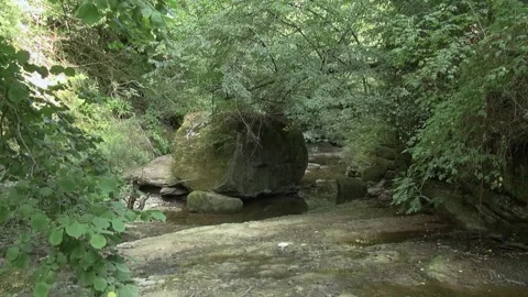 Foradada rock big stone gorge trees algae stream water valley nature day su.. Stock Footage 329768429
