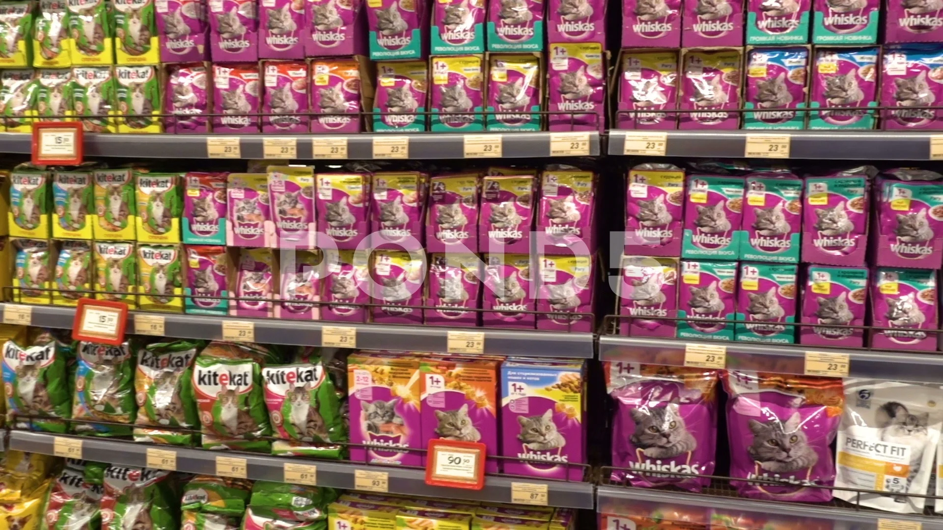 Forage for Animals Supermarket Shelf. Various of Cat and Dog Food Products