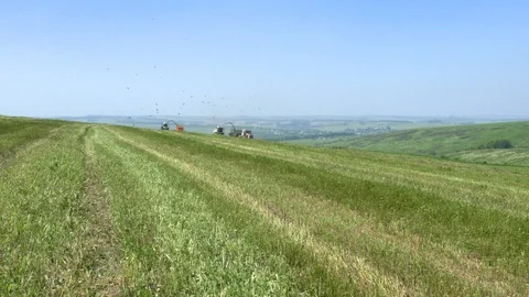 Forage harvester and tractor loading silage crop. Stock Footage 112012532