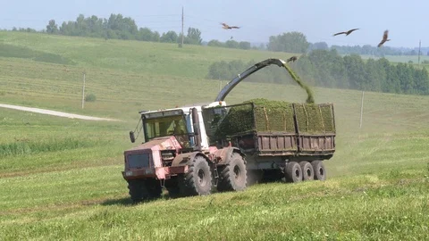 Forage harvester and tractor loading silage crop. Stock Footage 112012873