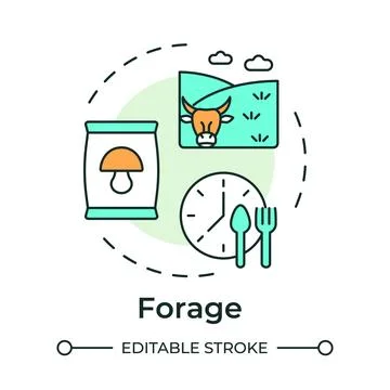 Forage multi color concept icon Stock Illustration