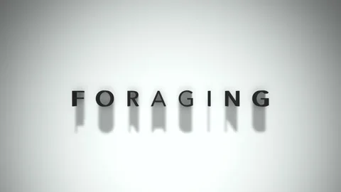 Foraging 3D title animation matte black text on a white background Stock-Footage 300717336
